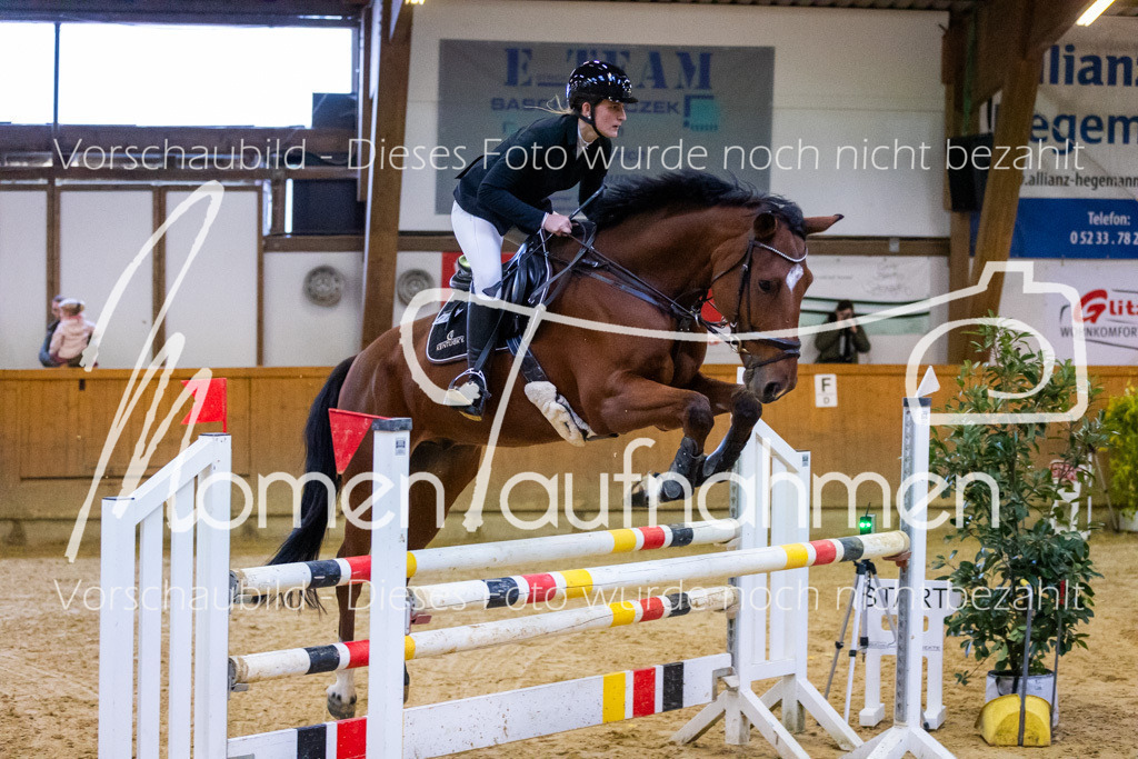 Sth-L-Springen-019 | MomenTaufnahmen Pferdesportfotos