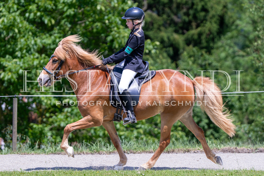 KAI03902 | Ihr sucht einen Fotografen für eure nächste OSI? Ich begleite auch euer Turnier für Islandpferde fotografisch.  - Realisiert mit Pictrs.com