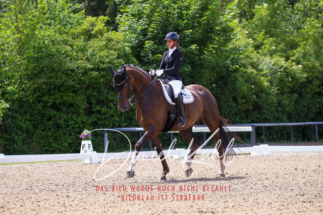 DKP40942 | Turnierfotos kaufen im Webshop von Daniel Kuhl Photography – entdecke professionelle Reitsportfotos aus Turnieren & Events. Hochwertige Turnierbilder online bestellen & sichern. Jetzt Fotos von Reitsportturnieren kaufen!