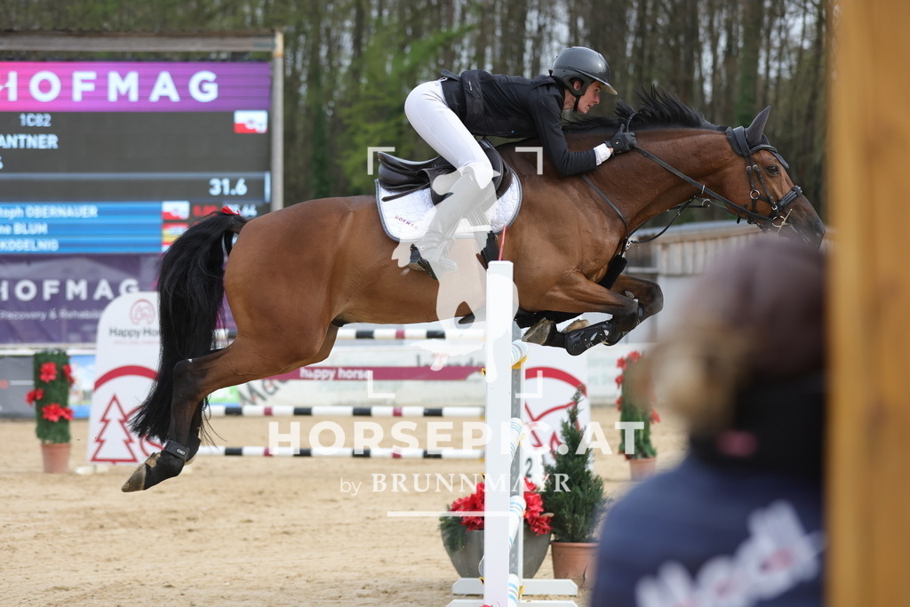 0P6A7507 | Willkommen bei Brunnmayr - Design & Fotografie – Ihrem Spezialisten für Reitturniere und Pferdeveranstaltungen in Oberösterreich, Salzburg und Bayern! Seit über 17 Jahren sind wir leidenschaftlich dabei.
