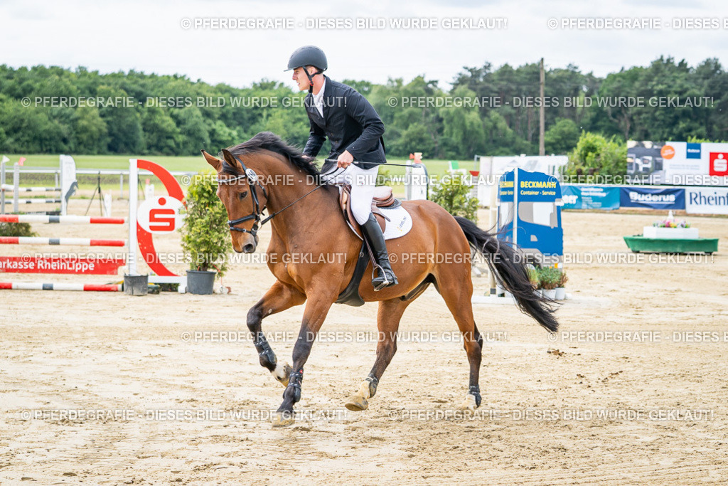 DSC04915 | Pferdegrafie