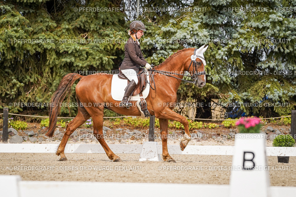 DSC05996 | Pferdegrafie