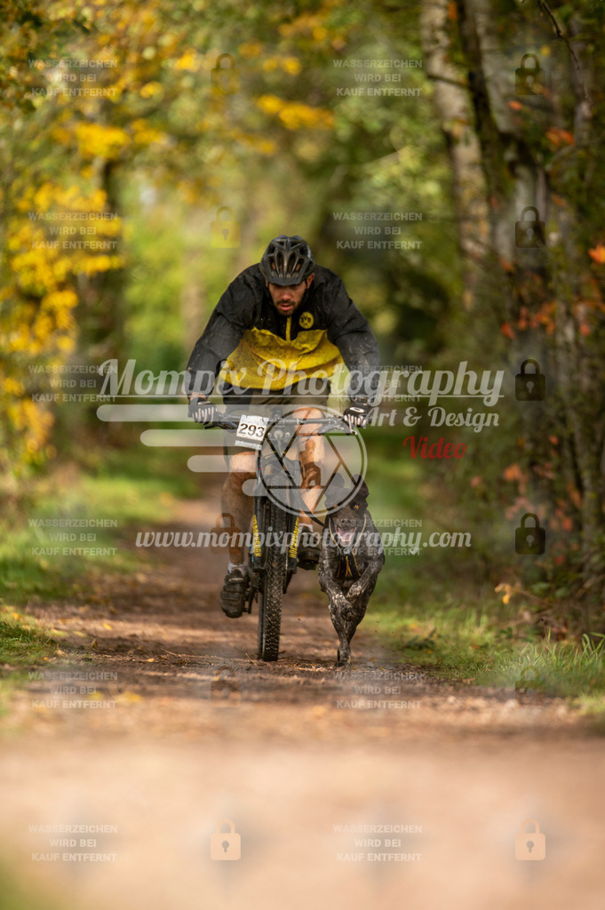 TSB_2023_E4_Bike-57 | PayLife