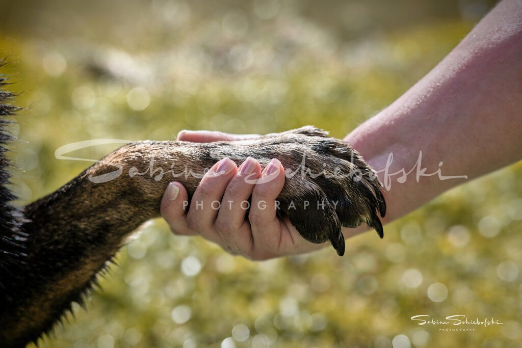 Kami_24-04-082024_04_8_DSCF1083 | People- und Tierfotografie, Imageaufnahmen, Veranstaltungsfotografie und Wandbilder aus der Natur ★ Made in Germany ✔️ Druck + Downloads ✔️ Naturfotografie in Top Qualität ★ schneller Versand, weltweite Lieferung! - Realisiert mit Pictrs.com