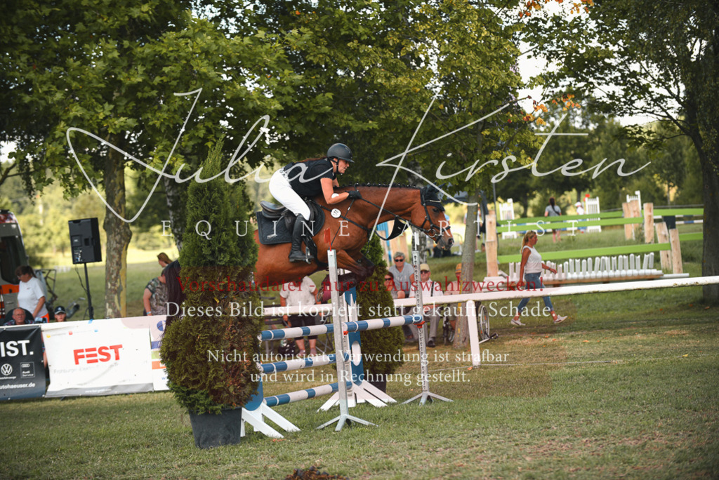 DSC_6705 | Pferde- und Turnierfotografie in Westsachsen. Pferdeportraits, Auftragszeichnungen und intuitive Kunst.