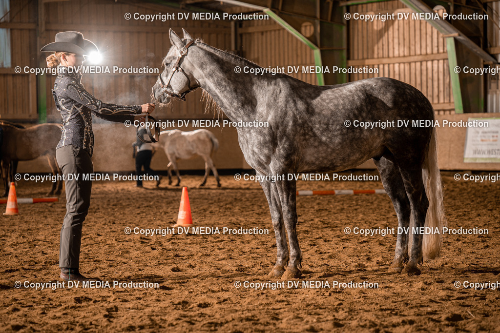 BAL01267 | dv-media-shop - Realisiert mit Pictrs.com