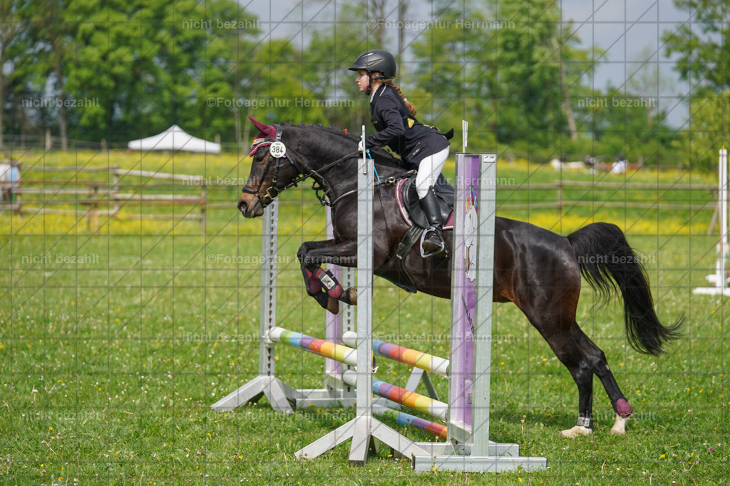 20240509-FAH02256 | Turnierbilder der Turnierfotografen Bayern, Pferdesport Fotografie, Reitsportbilder, Turnier Landberg am Lech, Turnierbilder bayern, Fotoagentur Herrmann