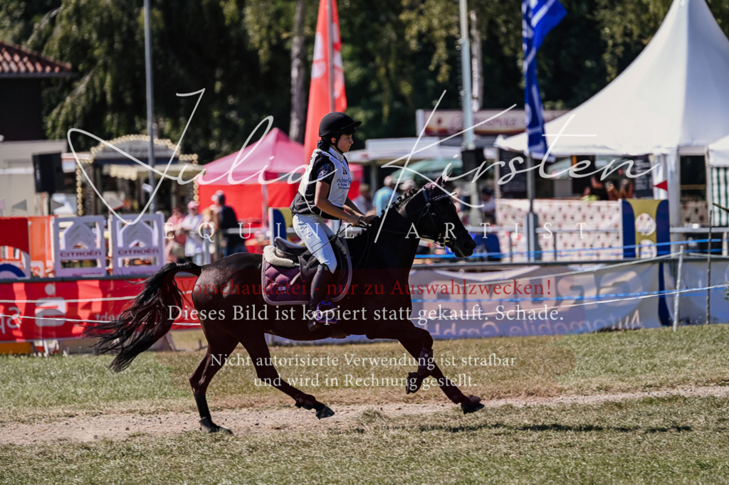DSC_1937 | Pferde- und Turnierfotografie in Westsachsen. Pferdeportraits, Auftragszeichnungen und intuitive Kunst.