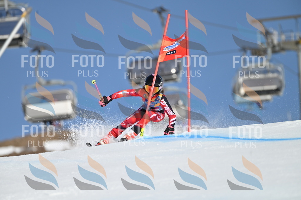 BGV_8399 | holidayphoto