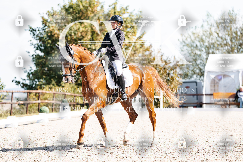 CK902810 | Turnierfotografie Pferdefotografie Trier Rheinland-Pfalz Pferdesport Reitsport Tierfotografie Sportfotografie Pferdevideo Pferdevideografie Equestrianvideography equestrianphotography  - Realisiert mit Pictrs.com