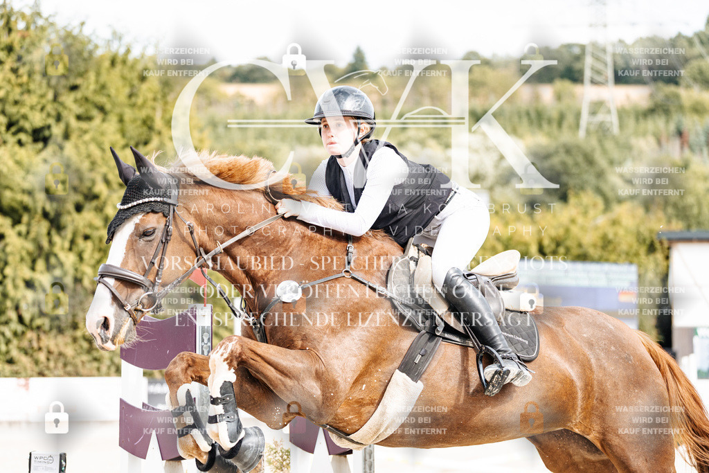 CK902066 | Turnierfotografie Pferdefotografie Trier Rheinland-Pfalz Pferdesport Reitsport Tierfotografie Sportfotografie Pferdevideo Pferdevideografie Equestrianvideography equestrianphotography  - Realisiert mit Pictrs.com