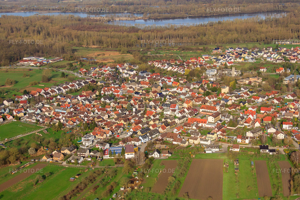 Luftbild: Ortsansicht von Osten im Ortsteil Illingen in Elchesheim-Illingen im Bundesland Baden-Württemberg in Deutschland. Foto: IMG_25560.jpg vom 02.04.2010 durch Werner Riehm/FLY-FOTO.de