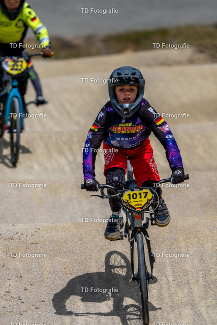BayBMX2026-06322 | Fotogalerie von Thomas Dettweiler mit Eventbildern und lizenzfreien Fotos. Perfekt als Wandbild, für Büro, Website oder private Nutzung. - Realisiert mit Pictrs.com