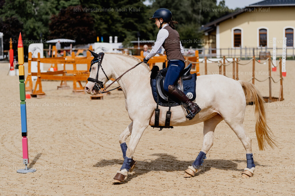 Nici11_FHC2025-2575 | working equitationturnier fotograf videograf stoibphotography marixx film working equitation deutschland reitsport turnierfotografie eventfotografie equestrian events