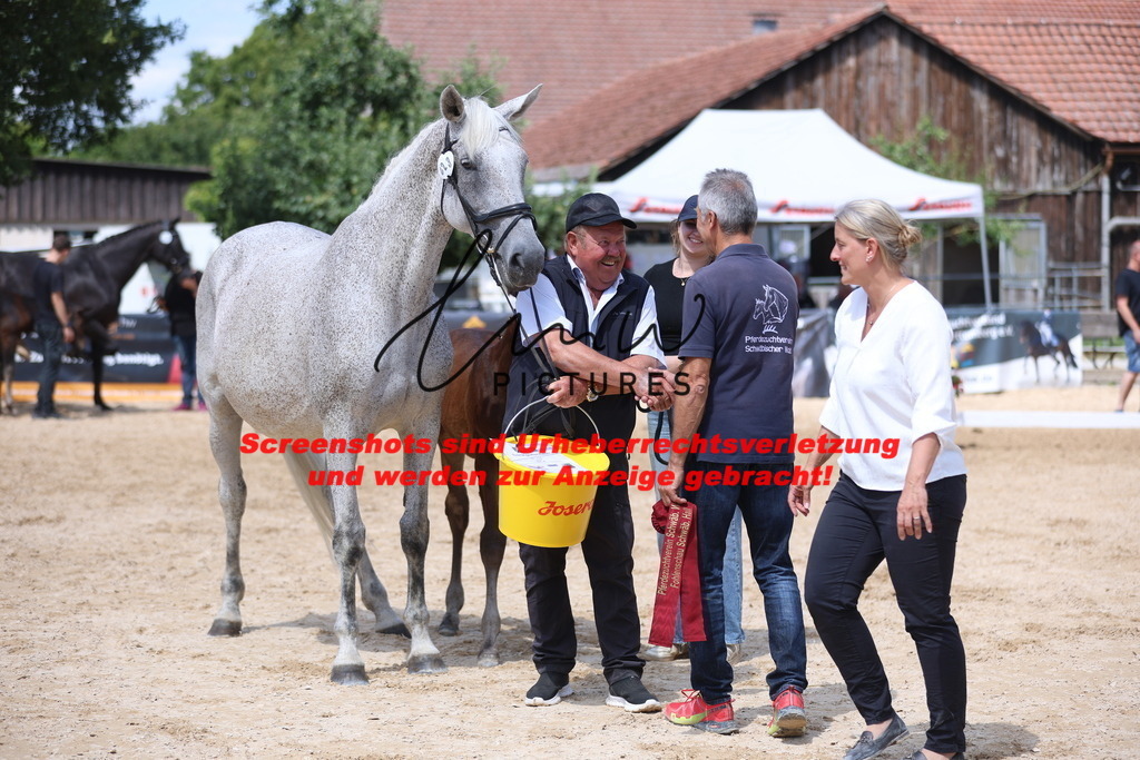 Fohlenschau_Schwäbisch_Hall_springbetonte_Fohlen_RESERVE SIEGERFOHLEN_KN 23_3 | lmwpictures - Realisiert mit Pictrs.com