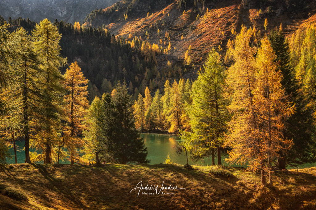 Goldenes Engadin | Andre Wandrei - Nature Artworx - Realisiert mit Pictrs.com