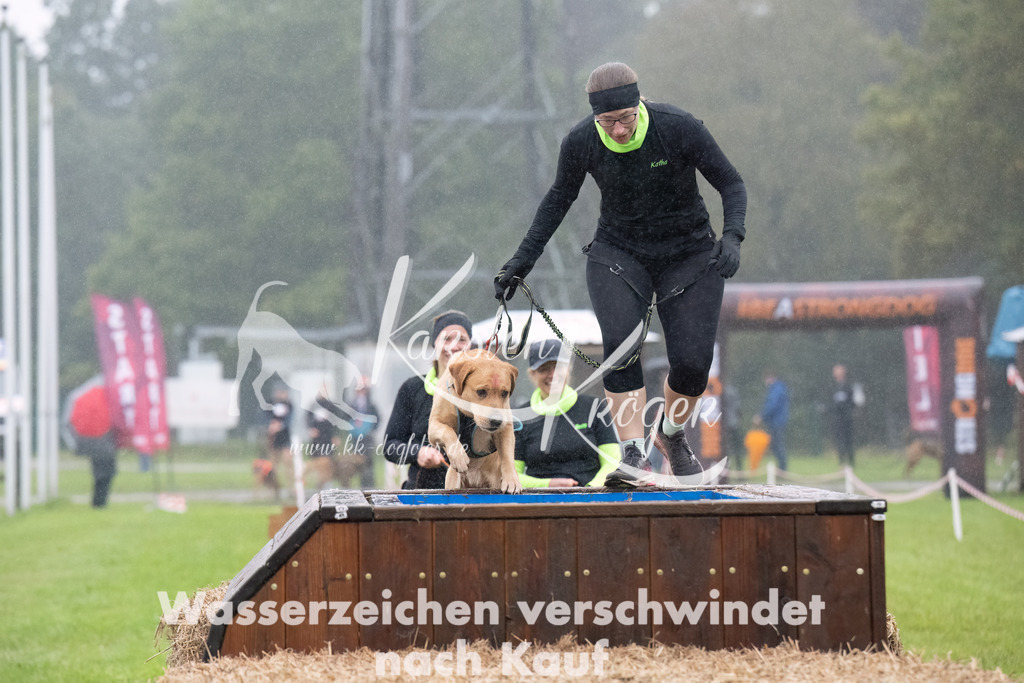 0944-_ZZ94544-Bearbeitet | kk-dogfotos