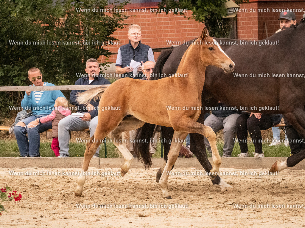 A10I1413 | photographylinaismer - Realisiert mit Pictrs.com