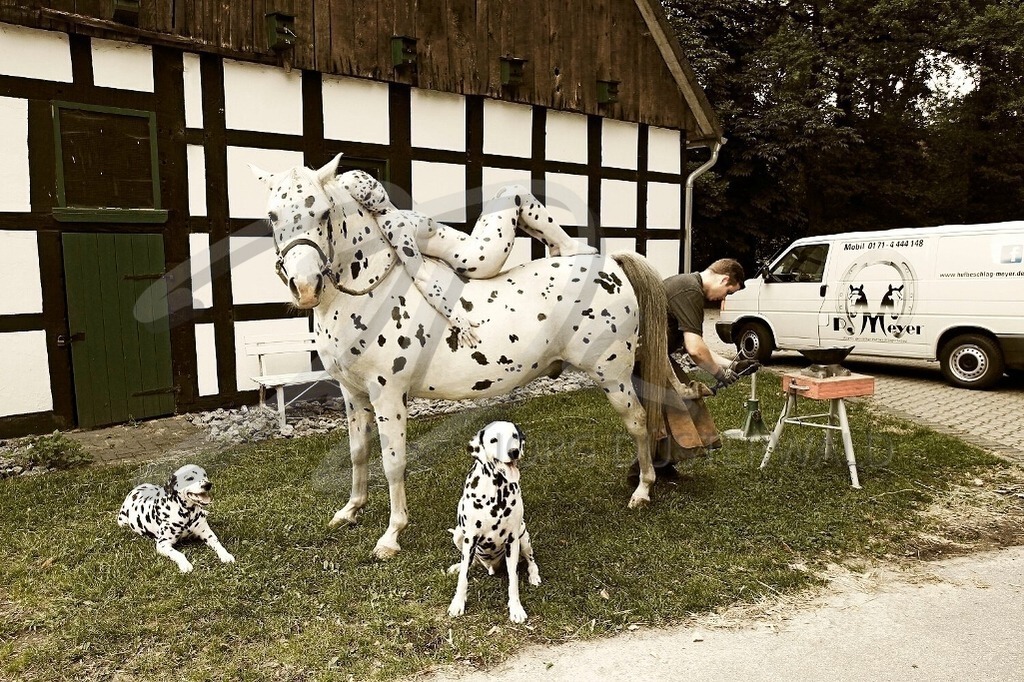 WorkingArt-HUFSCHMIED_9917 | #002 | Modell: Jessy | Berufler: Patrick Meyer | Foto: Tschiponnique Skupin - Realisiert mit Pictrs.com