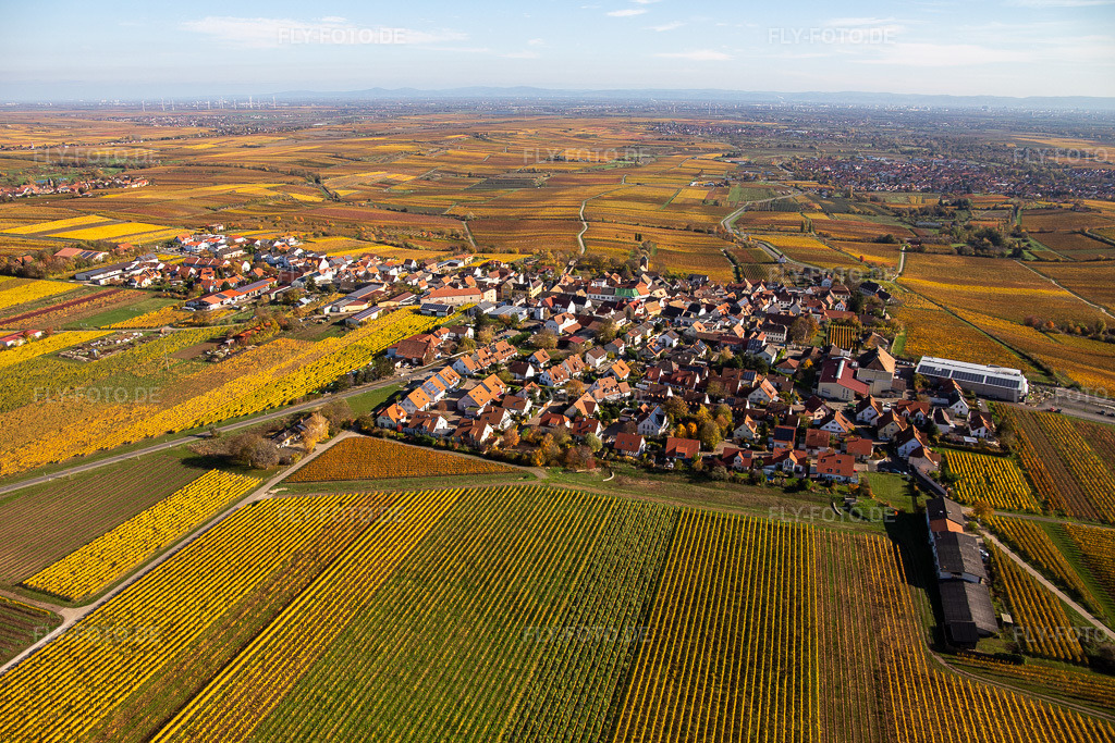 Luftbild: Herbstliche verfärbte Vegetationsansicht der Weinbergen um das Winzerdorf in Herxheim am Berg im Bundesland Rheinland-Pfalz in Deutschland. Foto: IMG_123682.jpg vom 31.10.2020 durch Werner Riehm/FLY-FOTO.de