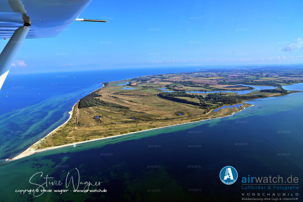 Geltinger Birk Luftbild - Tiere auf der „Wilden Weide“ | Das Naturschutzgebiet Geltinger Birk, zu dem der Birknack gehört, ist mit einer Gesamtfläche von 773 Hektar das größte Naturschutzgebiet des Kreises Schleswig-Flensburg. Der Küstensaum steht seit 1934 unter Naturschutz und umfasst verlandende Schilfsümpfe, Salzwiesen, Dünen, sand- und geröllbedeckte Außenstrände sowie eine etwa 1.000 Meter in die Geltinger Bucht hineinreichende Seegraswiese. Ein Großteil des Gebiets wird ganzjährig von Rindern, Pferden, Schafen und Ziegen beweidet, wobei die Tiere auf der „Wilden Weide“ frei leben und durch Fraß und Tritt die Ausbreitung dominanter Arten und Gehölze eindämmen.
