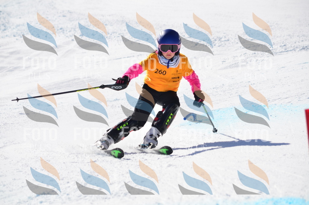 C8508 | holidayphoto