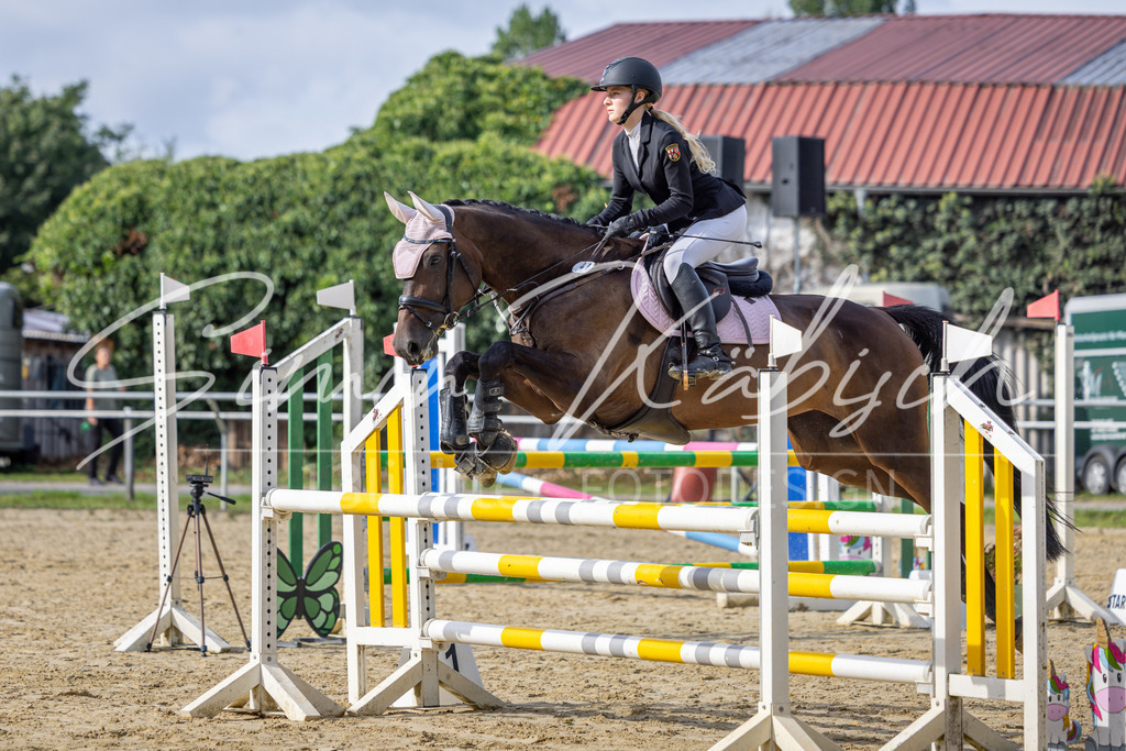 20260905-_3LI7134 | Tierfotografie Pferde, Hunde, Katzen, Haustiere.
Turnierfotografie Reitturniere, Reiten, Springreiten, Dressur in Hanau, dem Main-Kinzig-Kreis und dem Rhein-Main- Gebiet um Frankfurt