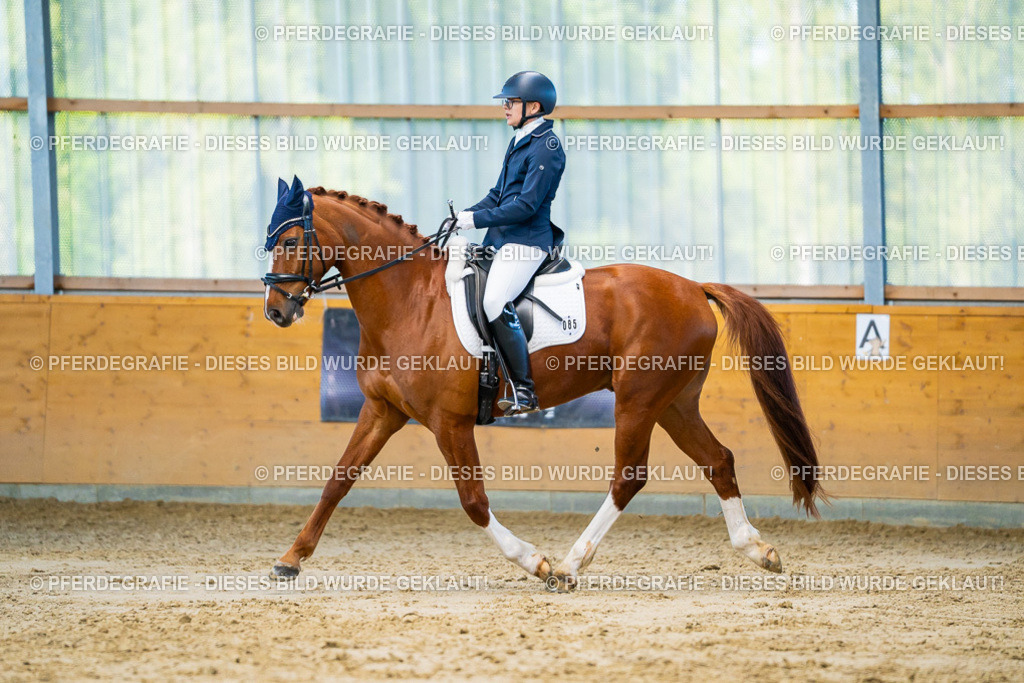 DSC06443 | Pferdegrafie