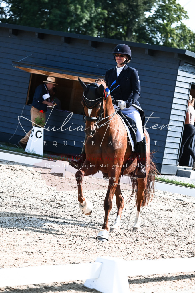 DSC_3437 | Pferde- und Turnierfotografie in Westsachsen. Pferdeportraits, Auftragszeichnungen und intuitive Kunst.