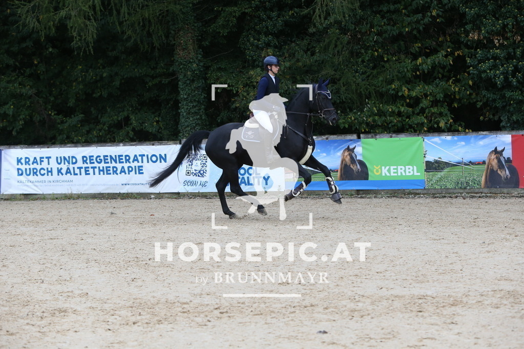 DL2Q0438 | Willkommen bei Brunnmayr - Design & Fotografie – Ihrem Spezialisten für Reitturniere und Pferdeveranstaltungen in Oberösterreich, Salzburg und Bayern! Seit über 17 Jahren sind wir leidenschaftlich dabei.