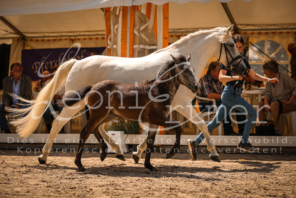 02.DoSR00190 | Leoni Ertmer Photography - Realisiert mit Pictrs.com