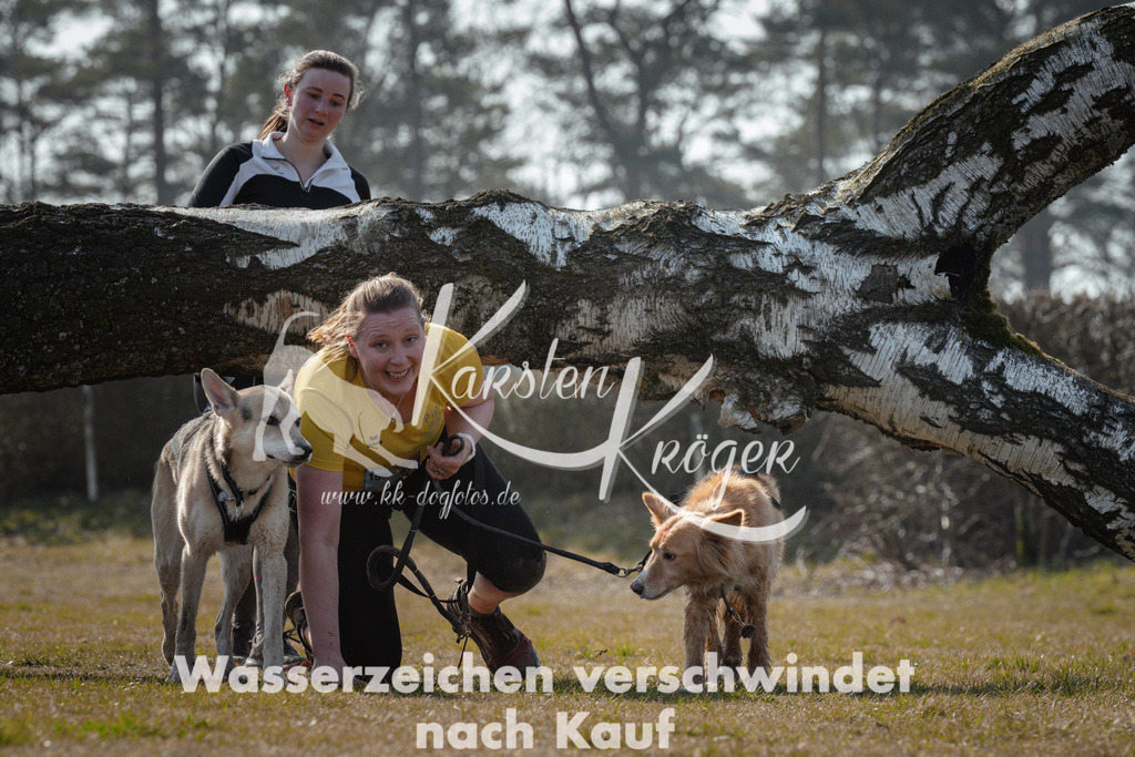 1129_ZZ95354 | kk-dogfotos