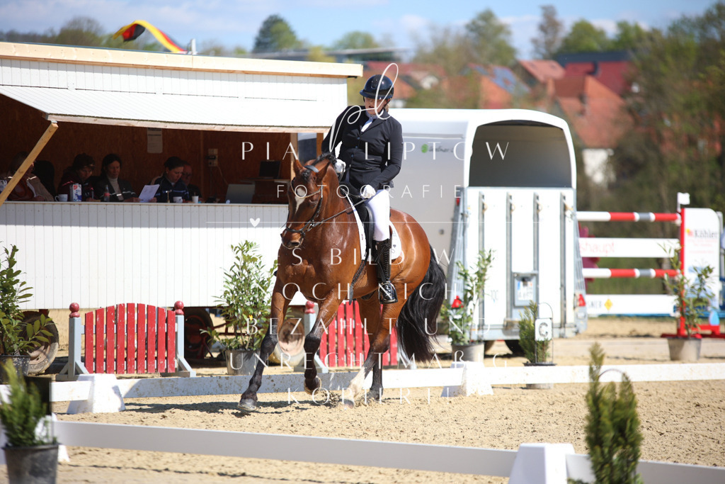 IMGT7813 | pl-fotografie