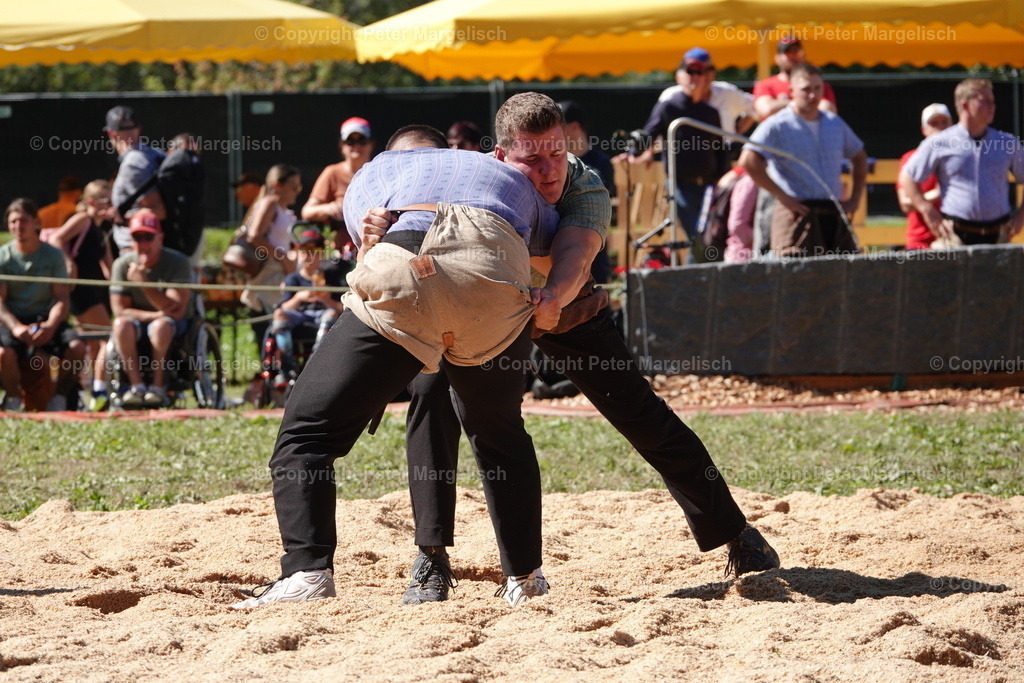 DSC01705 | Schwingen - Realisiert mit Pictrs.com