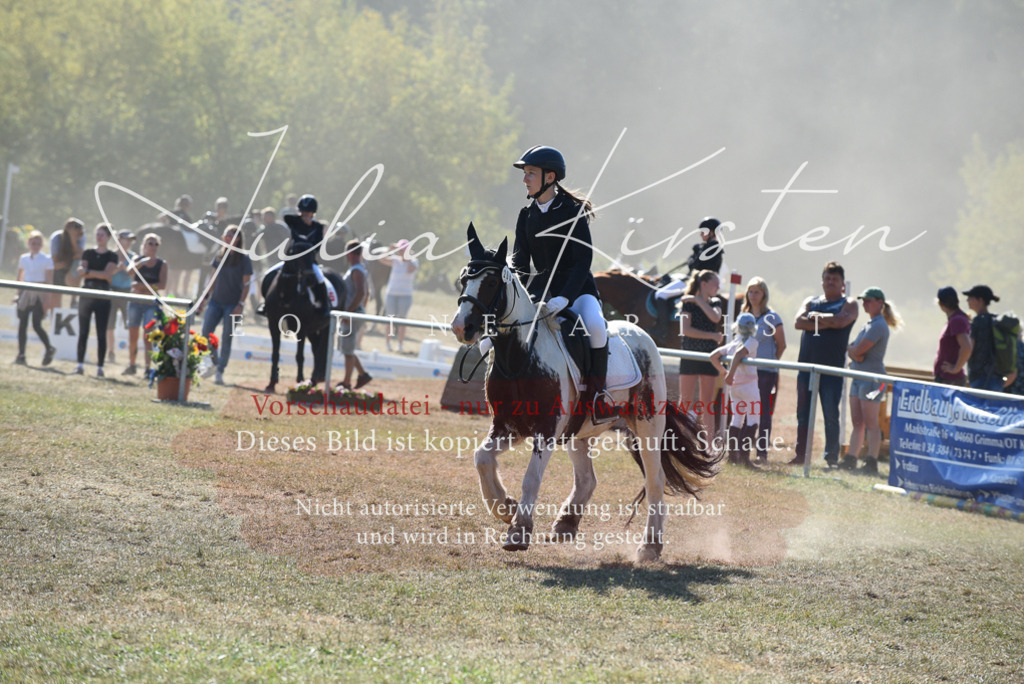 DSC_6087 | Pferde- und Turnierfotografie in Westsachsen. Pferdeportraits, Auftragszeichnungen und intuitive Kunst.