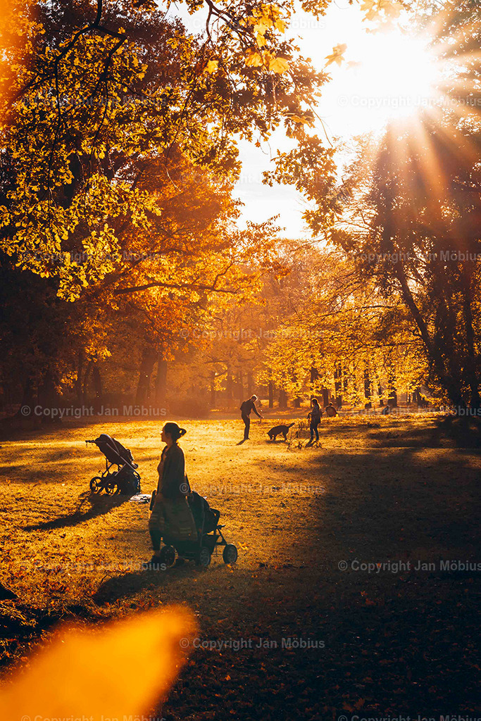 Clara Park | Der Clara-Zetkin-Park in Leipzig ist ein beliebter Ort für Natur, Sport und Erholung – perfekt für Spaziergänge, Jogging und entspannte Stunden im Grünen. - Realisiert mit Pictrs.com