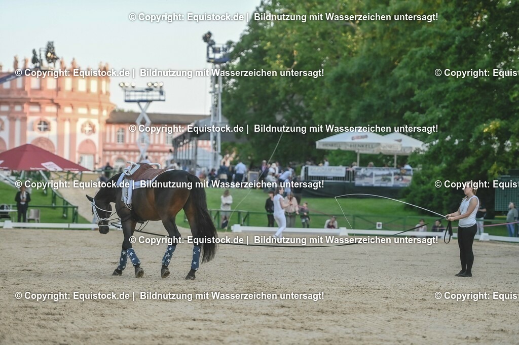 D78_3349 | equistock