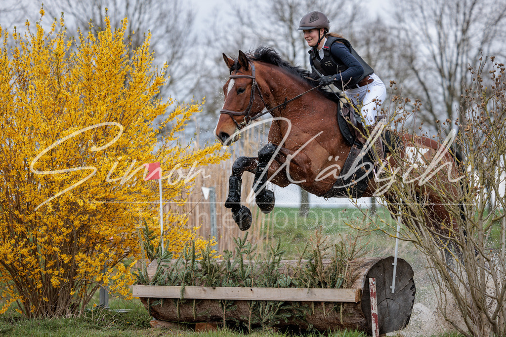 20260329-_3LI5637 | Tierfotografie Pferde, Hunde, Katzen, Haustiere.
Turnierfotografie Reitturniere, Reiten, Springreiten, Dressur in Hanau, dem Main-Kinzig-Kreis und dem Rhein-Main- Gebiet um Frankfurt
