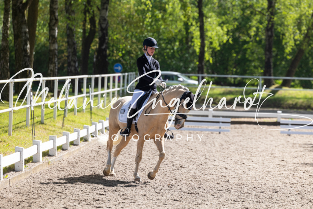 7I8A2377 | melanie-engelhardt-photography - Realisiert mit Pictrs.com