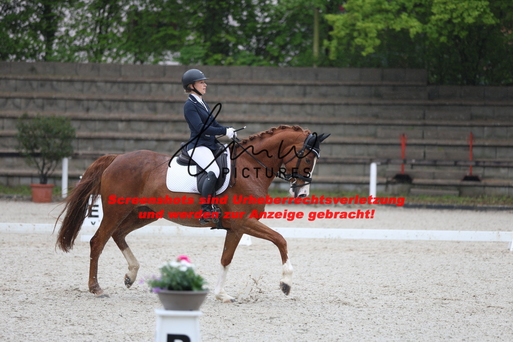 A40A7812 | lmwpictures - Realisiert mit Pictrs.com