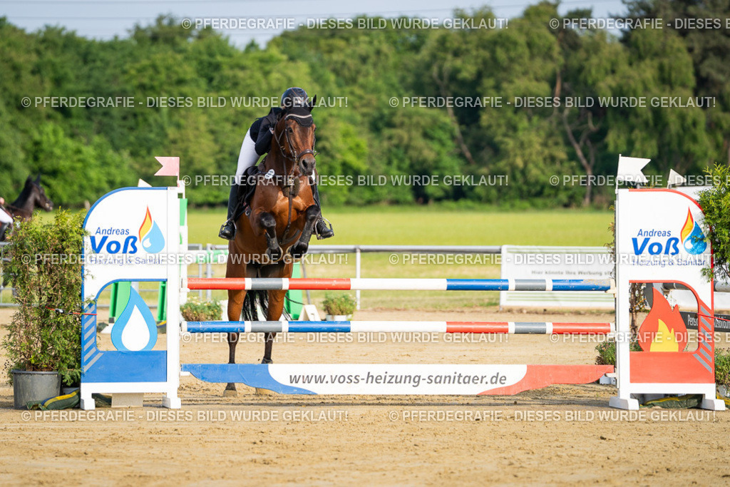 DSC02683 | Pferdegrafie