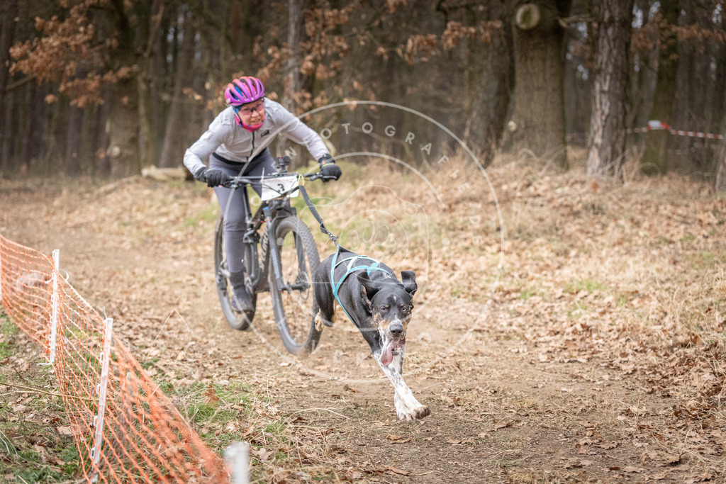 Pfotenfotografie_DV3A1302 | Hundefotografie, Tierfotograf, Pfotenfotografie, Fotoshooting Hund, Hunde Portrait, Hundesport, Hundeportraits, Heideshooting, Hunde, Sportfotograf, Hundefotograf, Turnierhundsport, THS,  - Realisiert mit Pictrs.com