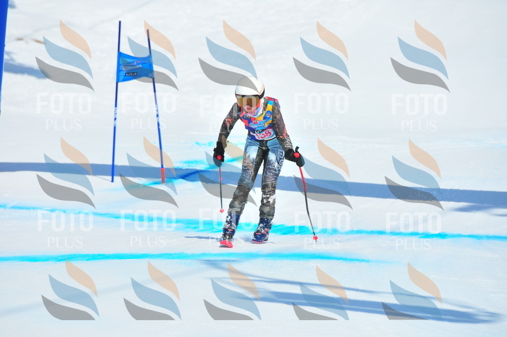 DSC_4943 | holidayphoto