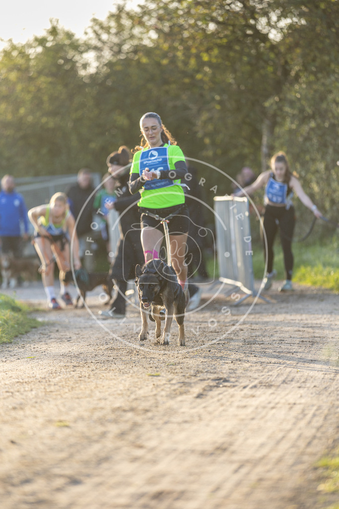 Pfotenfotografie.de_DV3A2440 | Hundefotografie, Tierfotograf, Pfotenfotografie, Fotoshooting Hund, Hunde Portrait, Hundesport, Hundeportraits, Heideshooting, Hunde, Sportfotograf, Hundefotograf, Turnierhundsport, THS, canicross - Realisiert mit Pictrs.com