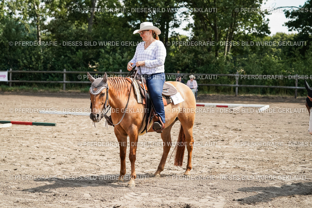 DSC06272 | Pferdegrafie