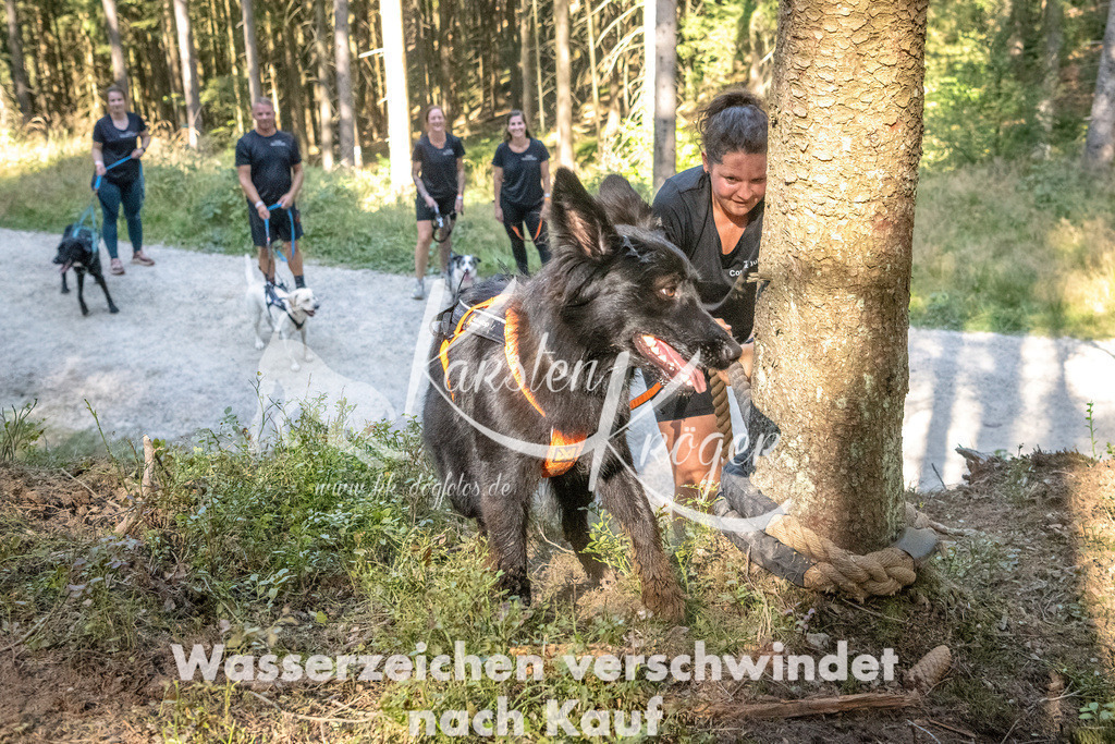 1125_ZZ90310 | kk-dogfotos