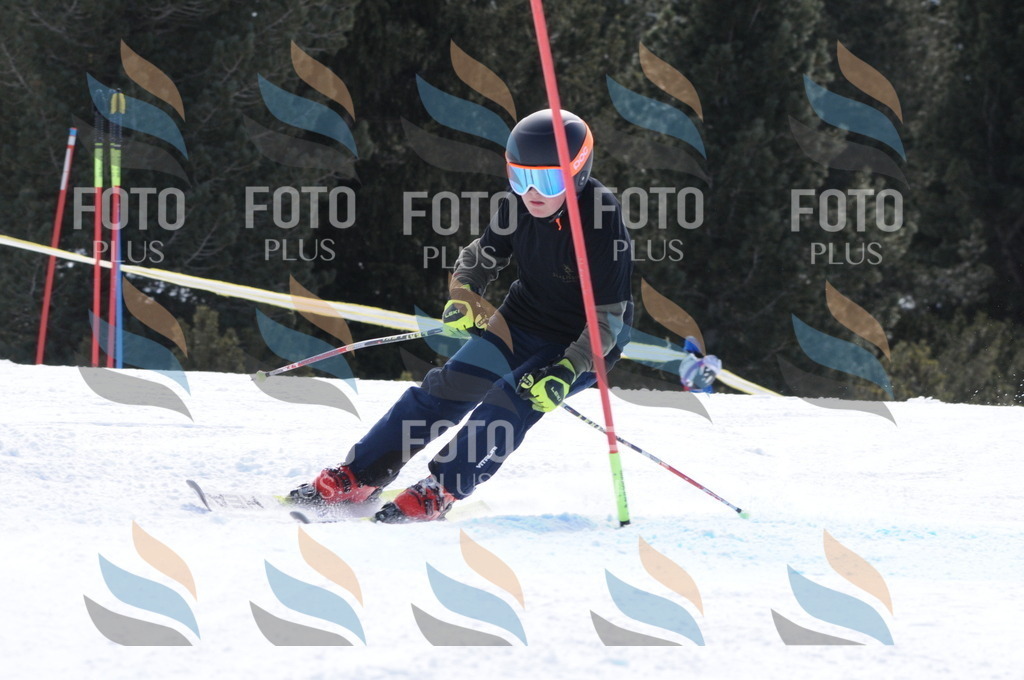 C9964 | holidayphoto