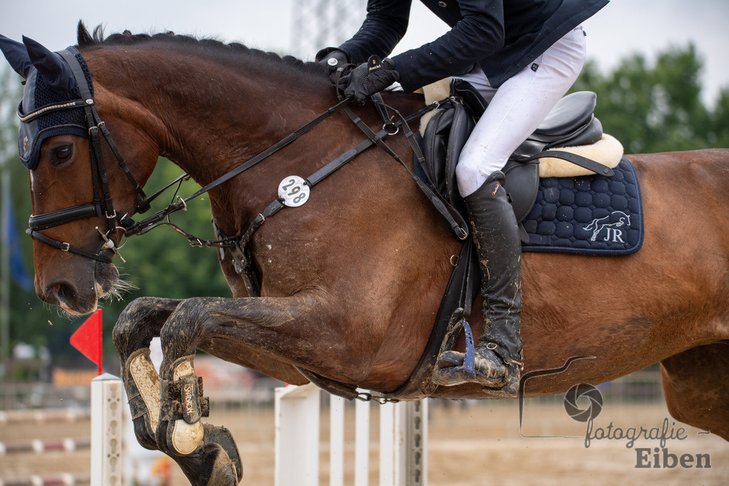 Springturnier Ammerländer Reitclub | Springturnier Ammerländer Reitclub (Punktespringprüfung KI.L 115cm am 30.06.2024; in Westerstede (Ammerländer Reitclub), Photo: Philip Eiben 2024 - Realisiert mit Pictrs.com