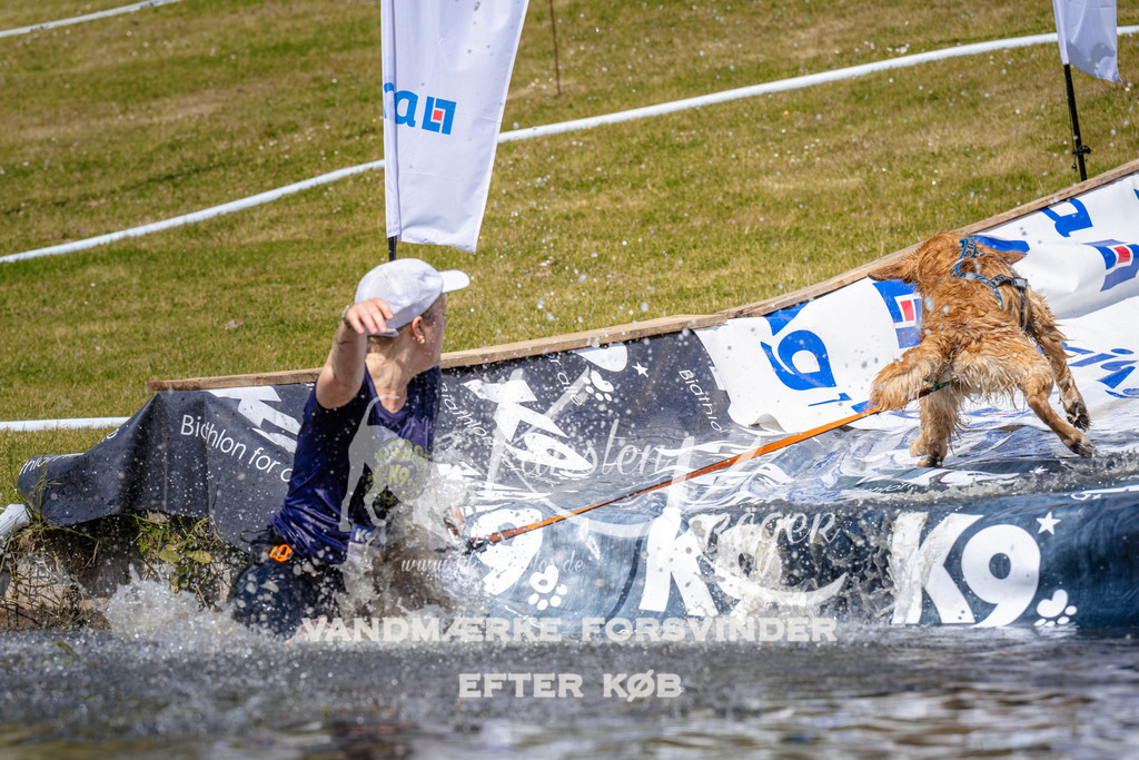 _ZZ977581031 | kk-dogfotos