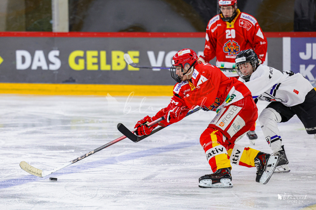 EHCB Spirit vs HCFG_wb-8322 | Sportbilder, Sportfotograf, Hochzeits- und Eventfotografin, Flugshows, Portraits und Tiershooting, Aviation, Downhill, Nationalleague, Swissleague, International